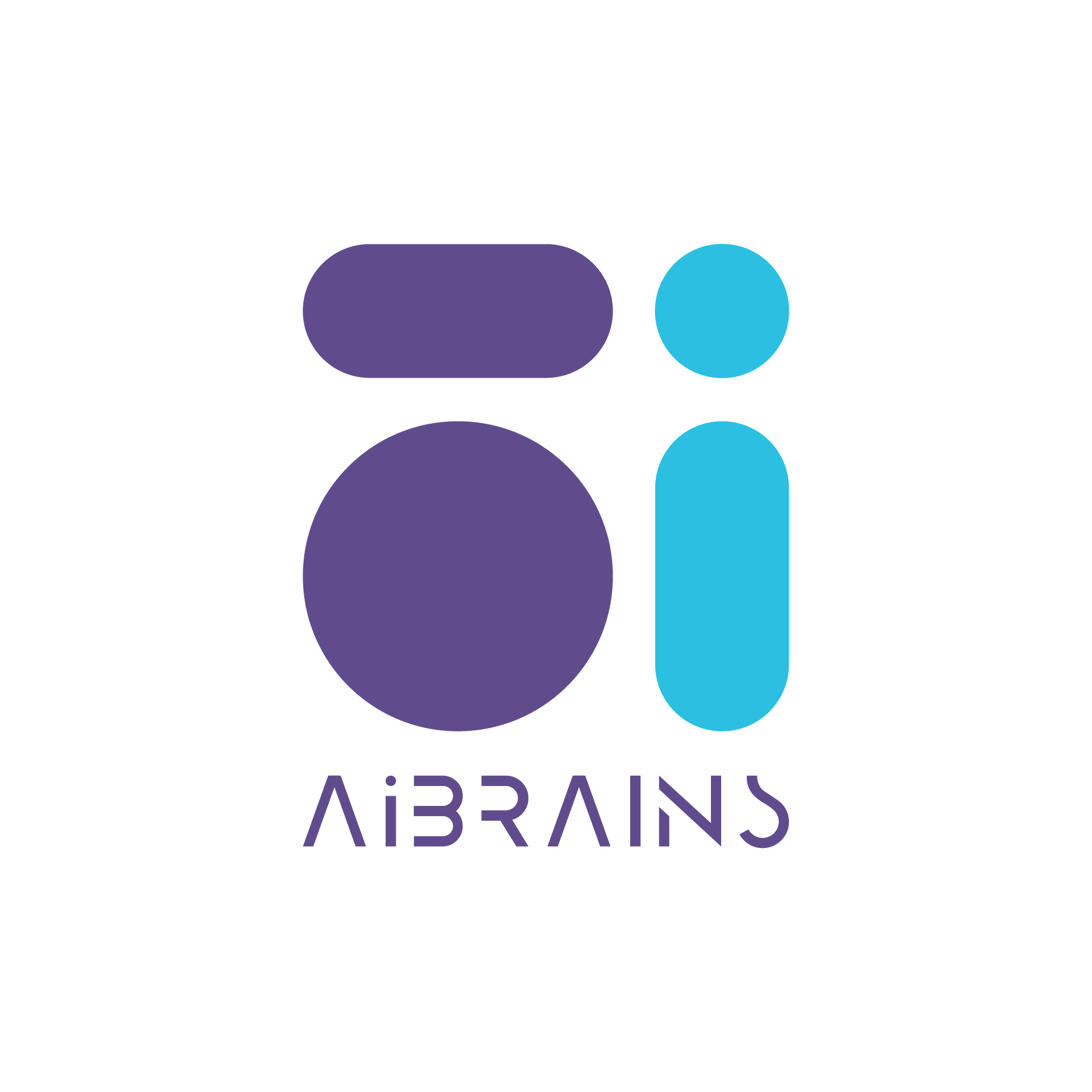 AI Development Firm