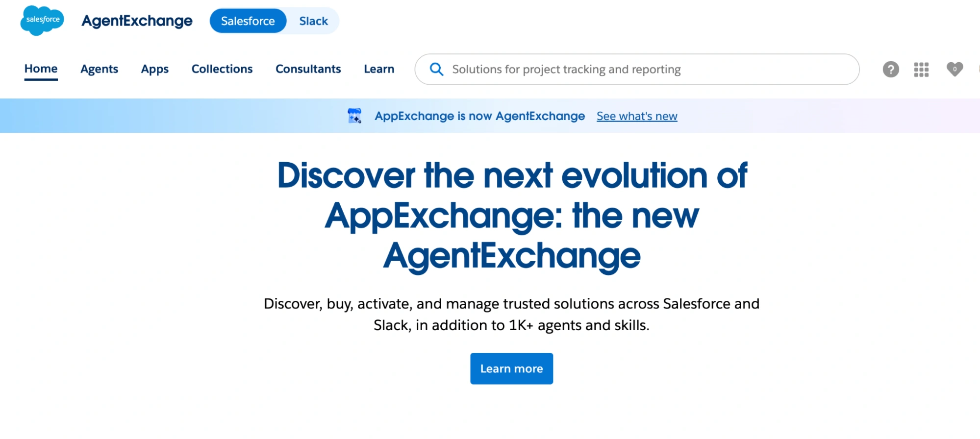 Agentforce Development Services 3